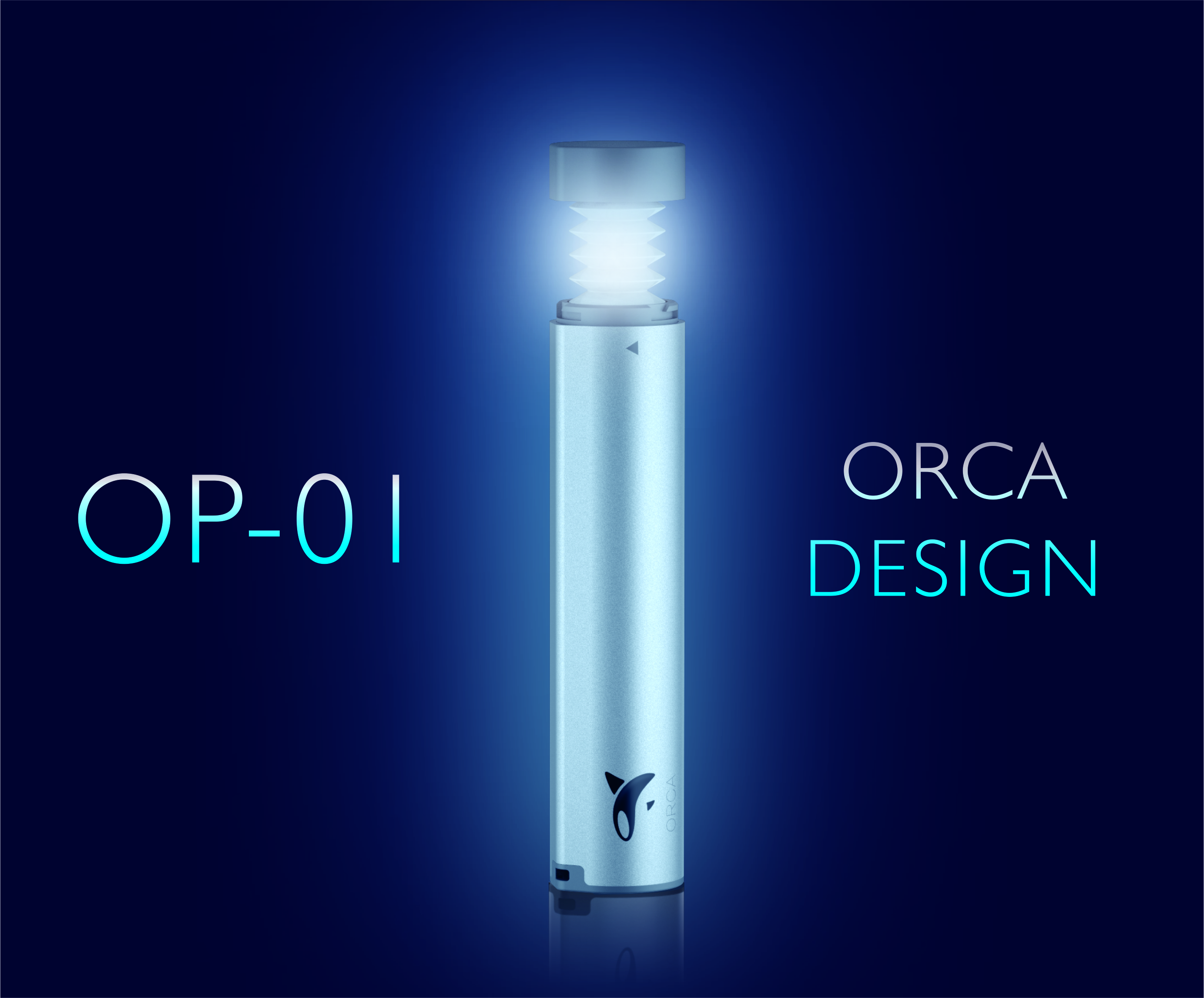 industrial design，Killer whale design，floodlight，portable source，portable battery，