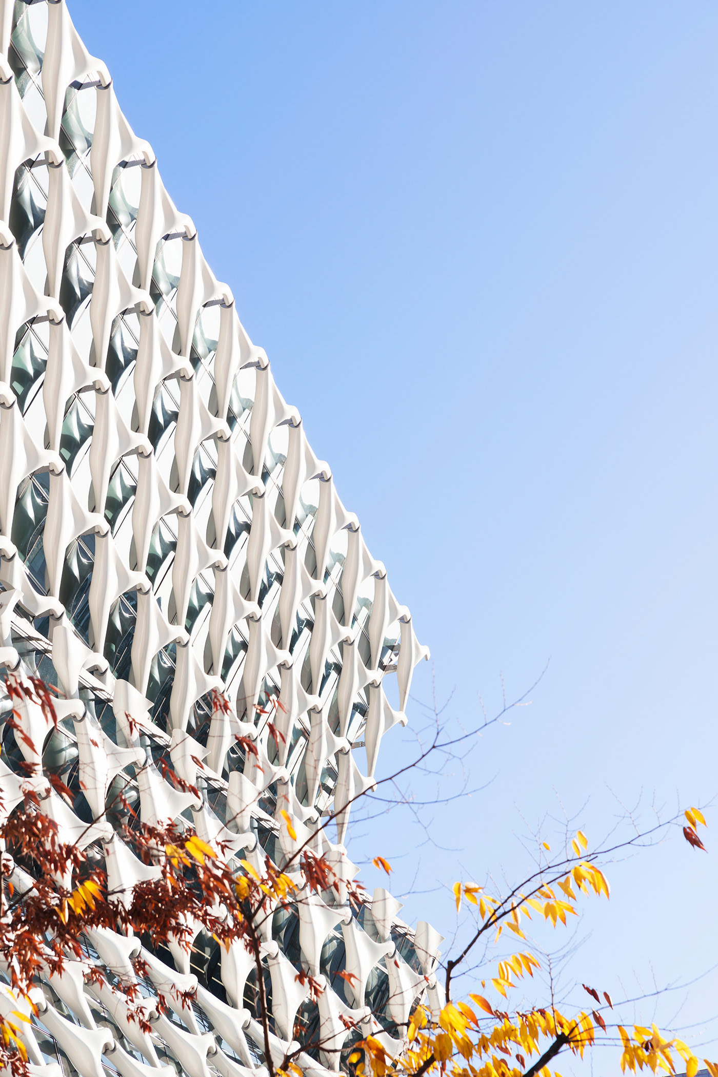 Architecture，Design，originality，atlas，