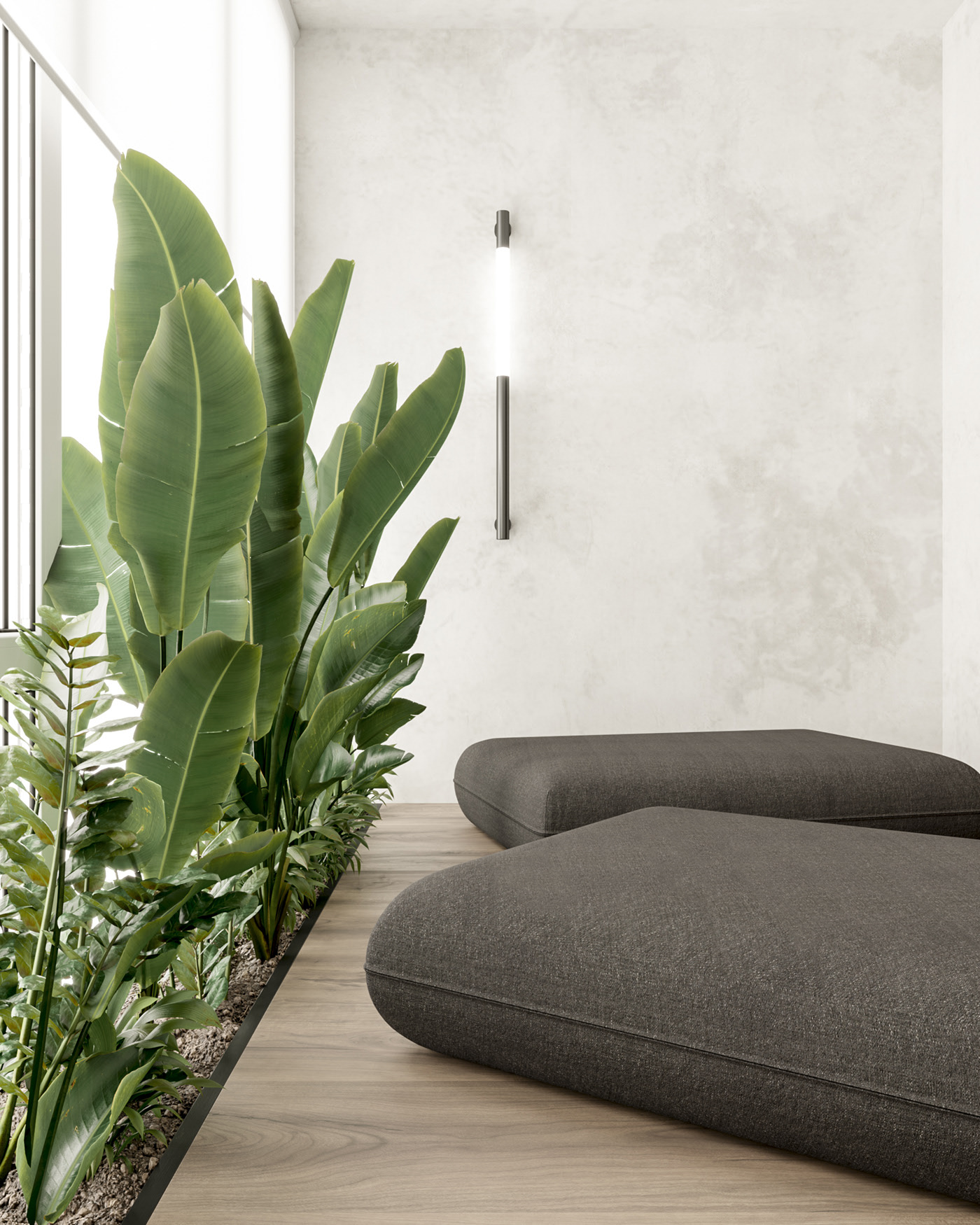 purple，apartment，Home Furnishing，Cake purple，