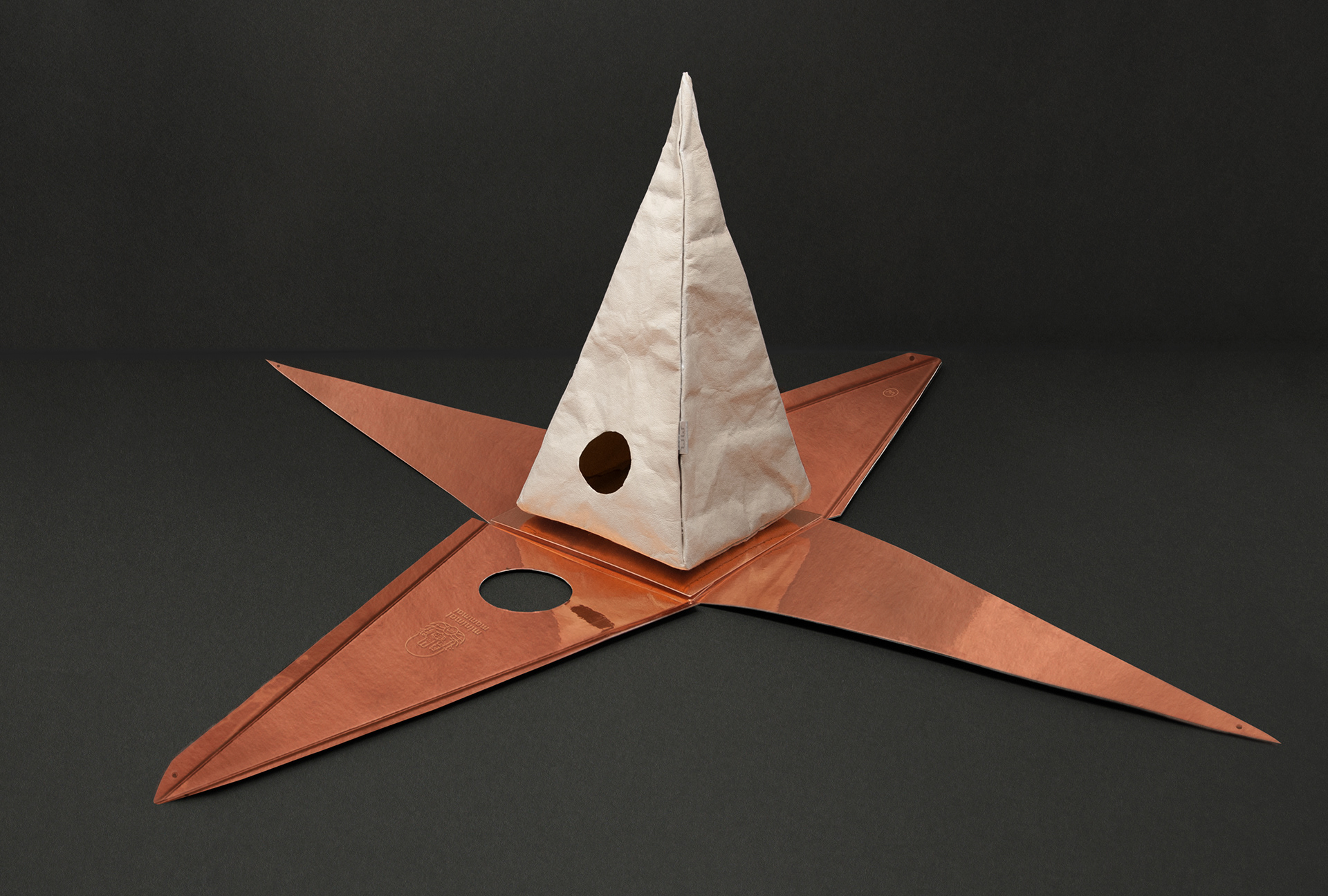 originality，Design，rat，Pet house，