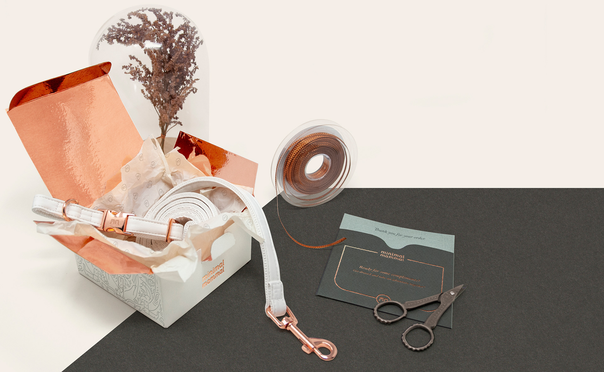 originality，Design，rat，Pet house，