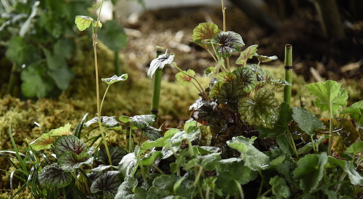 asiadesignprize，ASIA，design，award，Products，Architecture，Yijiang，