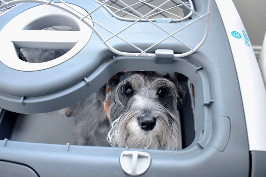 dog cage，Foldable，security，