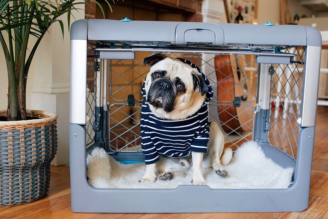 dog cage，Foldable，security，