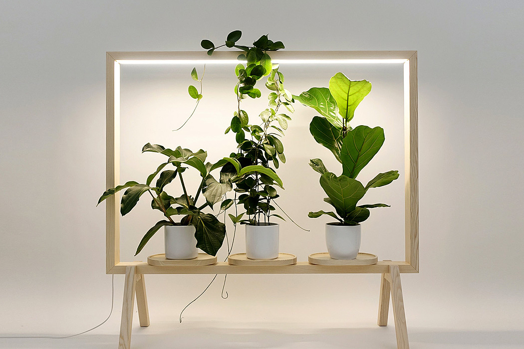 Screen divider，Potted plants，lighting，