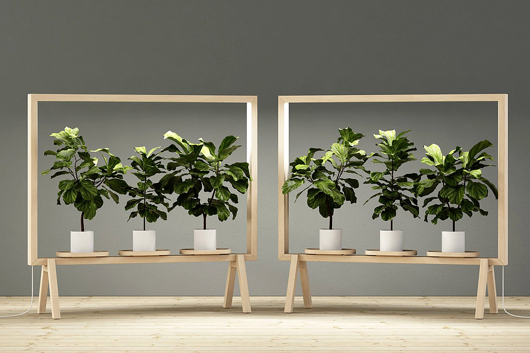 Screen divider，Potted plants，lighting，