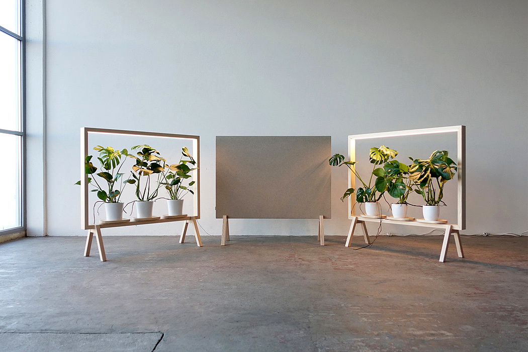 Screen divider，Potted plants，lighting，