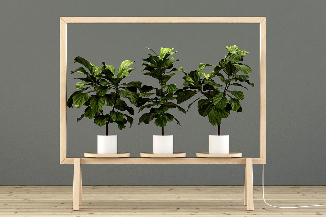 Screen divider，Potted plants，lighting，