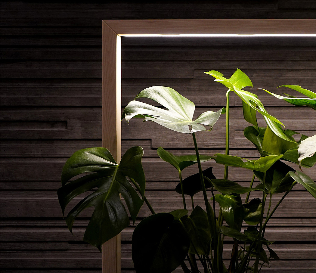 Screen divider，Potted plants，lighting，