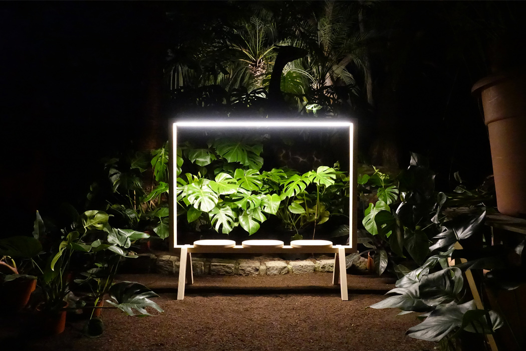 Screen divider，Potted plants，lighting，