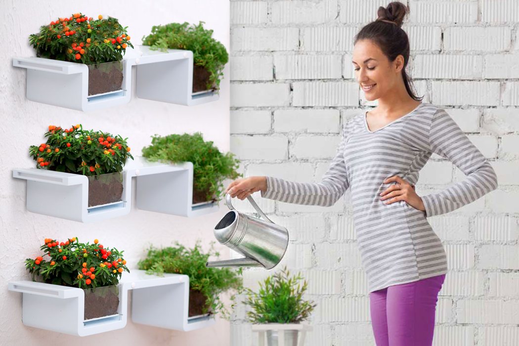 Implant，Wall mounted shelf，Plantashelf，