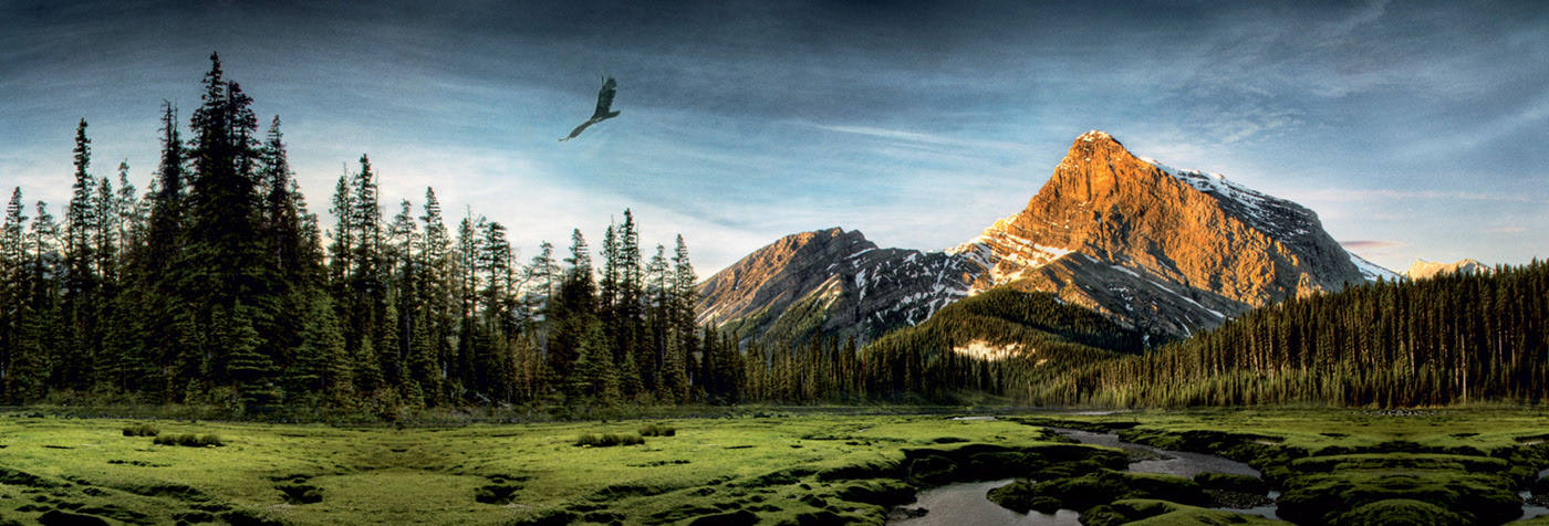 Swarlow，EL Range，SwarovskiOptik，VG，Binoculars，