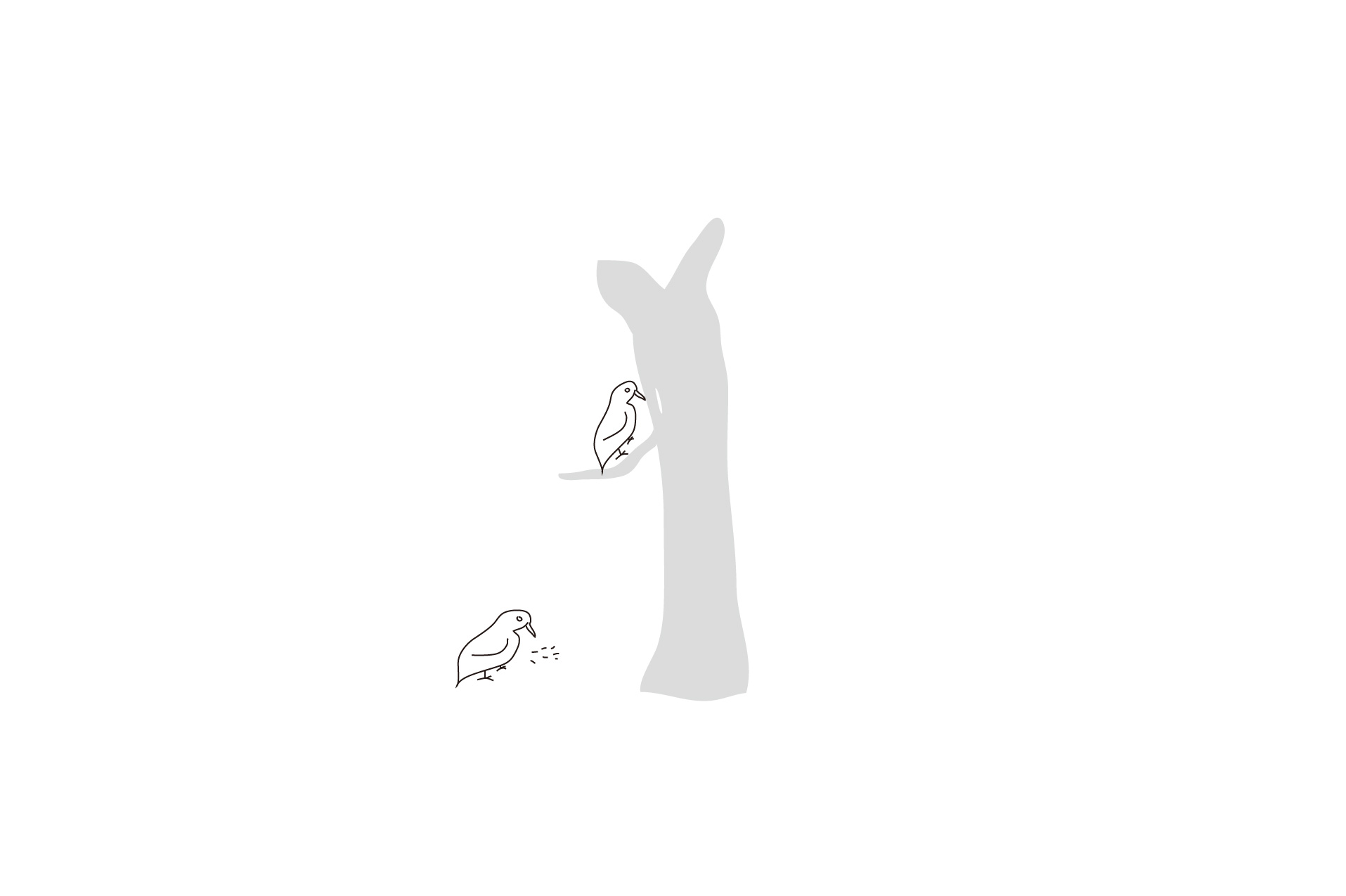 Toothpick，Floss，Tooth protection，oral cavity，nursing，