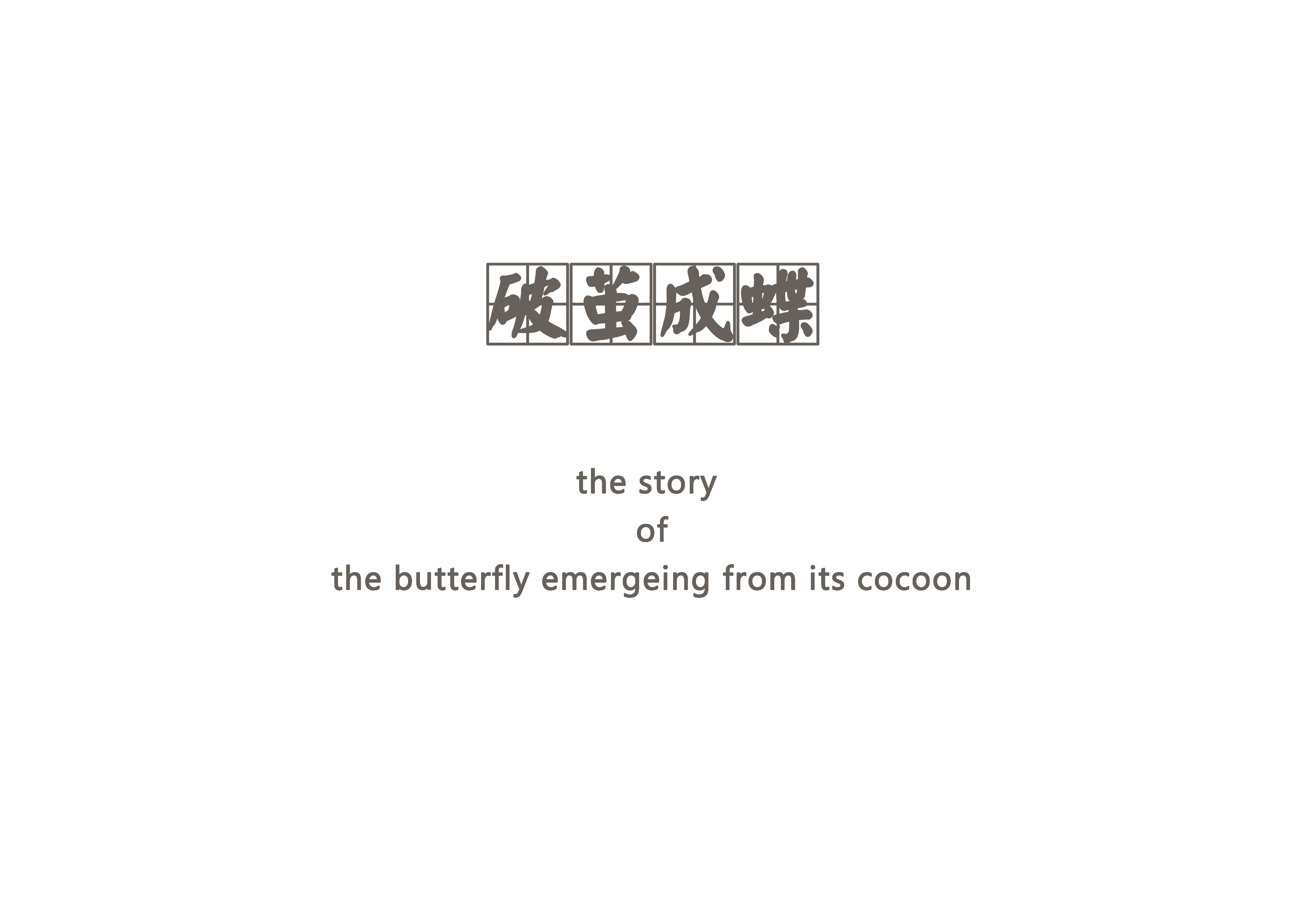 story，Home Furnishing，sewing，pleasantly surprised，warm，Break the cocoon and become a butterfly，