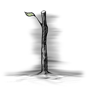 lamp，concept，natural，Humidifier，