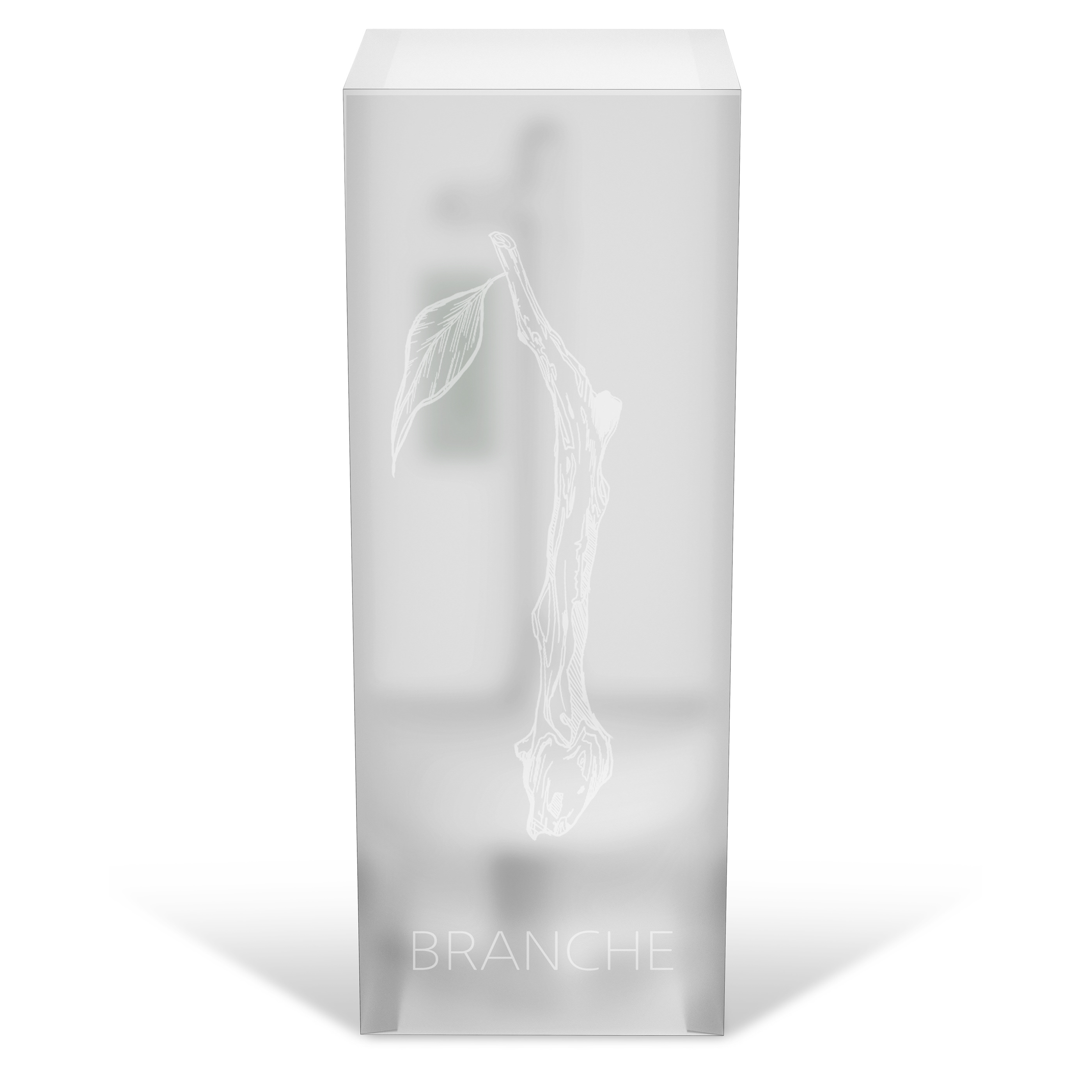 lamp，concept，natural，Humidifier，