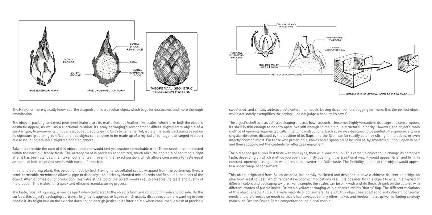 chopsticks，Dragonfruit，Ao，dragonfly，