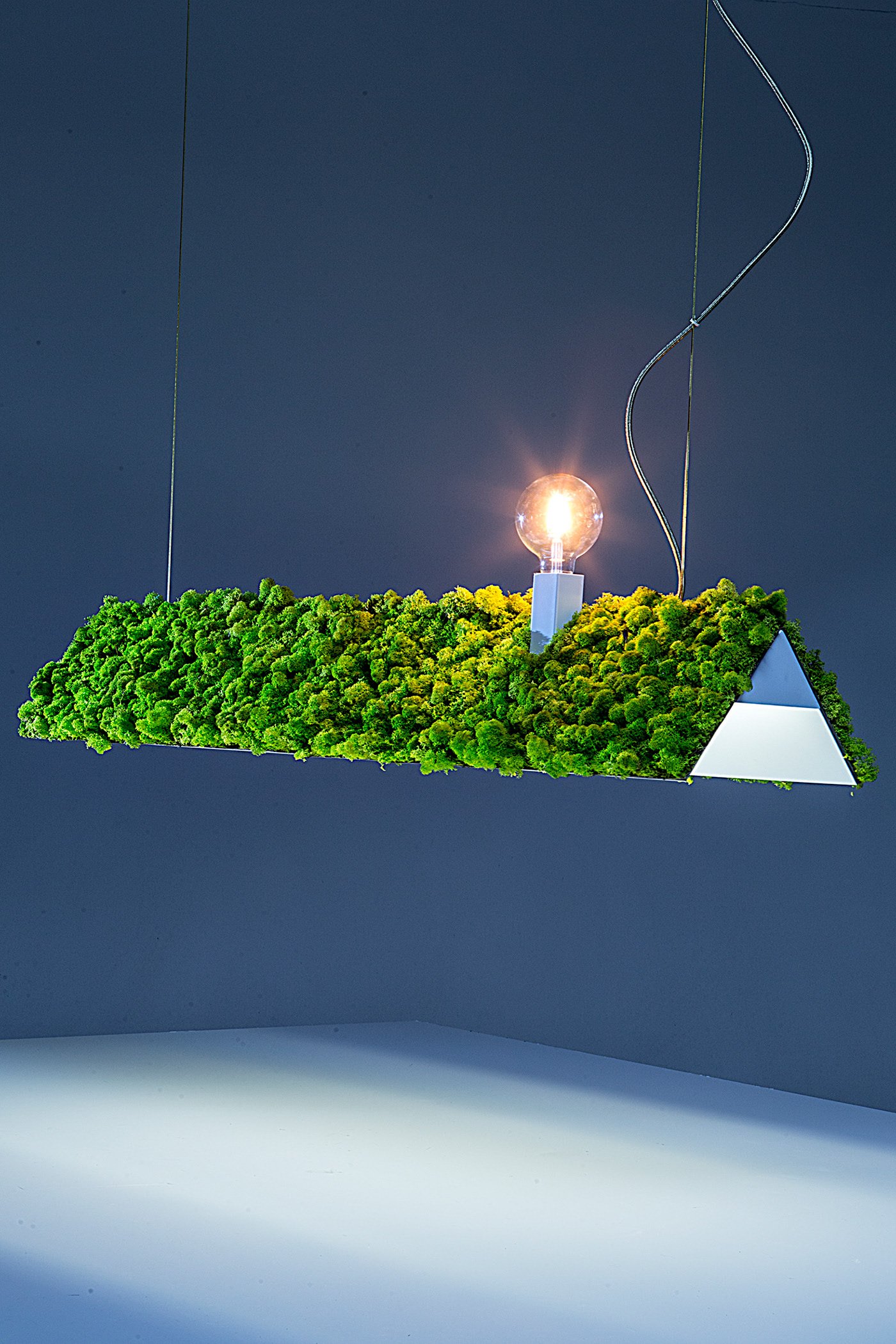 lighting，green，Botany，Tiago Curioni，