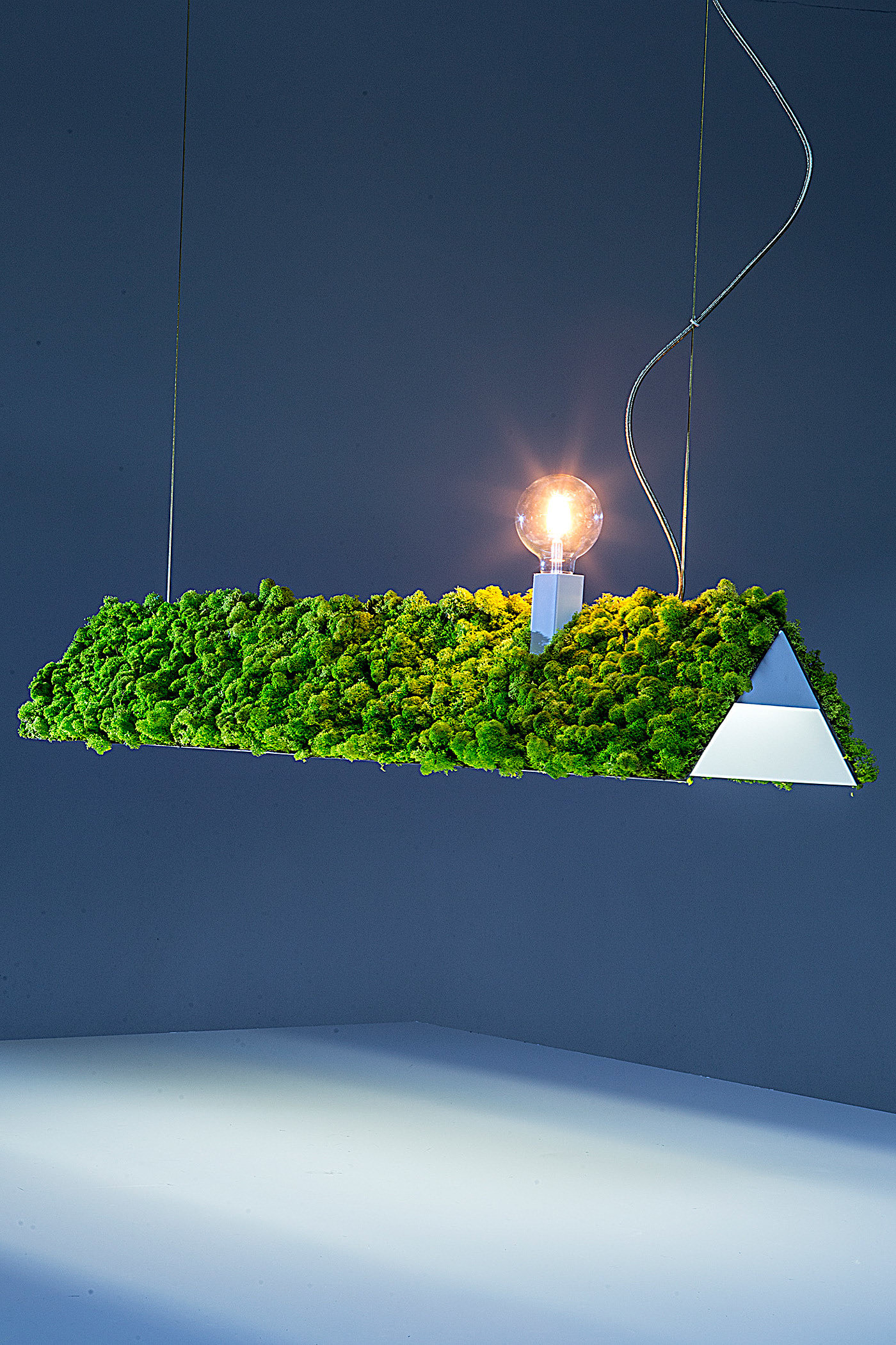 照明，绿色，植物，Tiago Curioni，