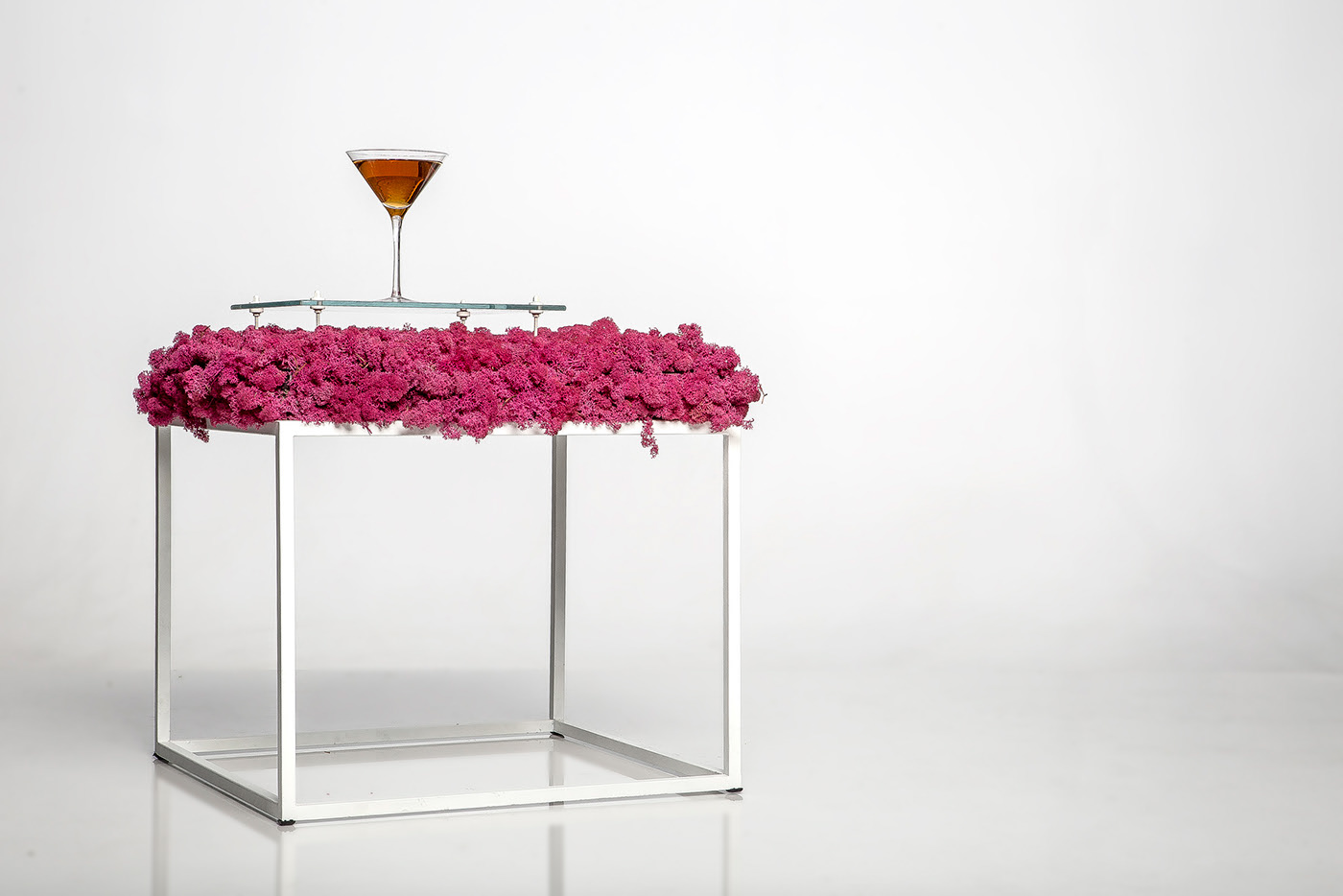 lighting，green，Botany，Tiago Curioni，