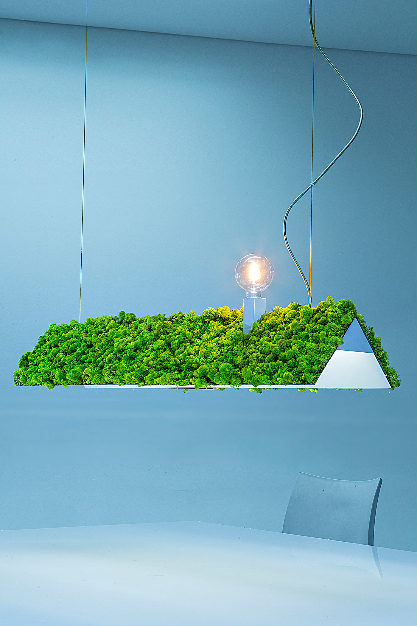 照明，绿色，植物，Tiago Curioni，