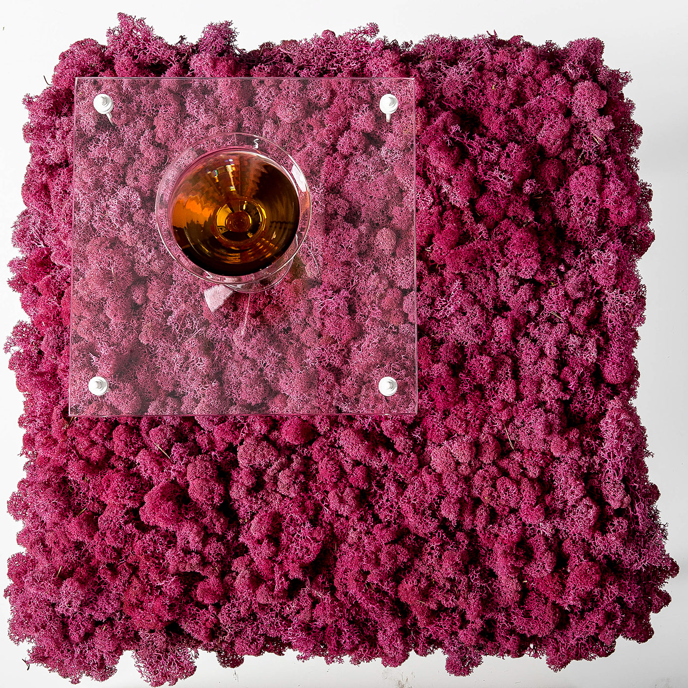 lighting，green，Botany，Tiago Curioni，