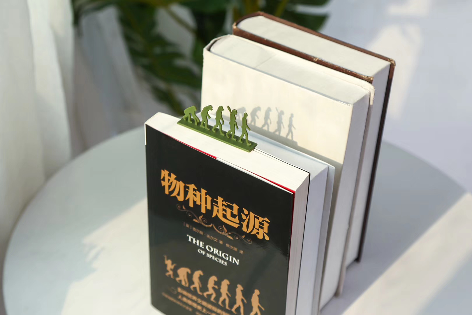 bookmark，theory of evolution，Origin of species，read，