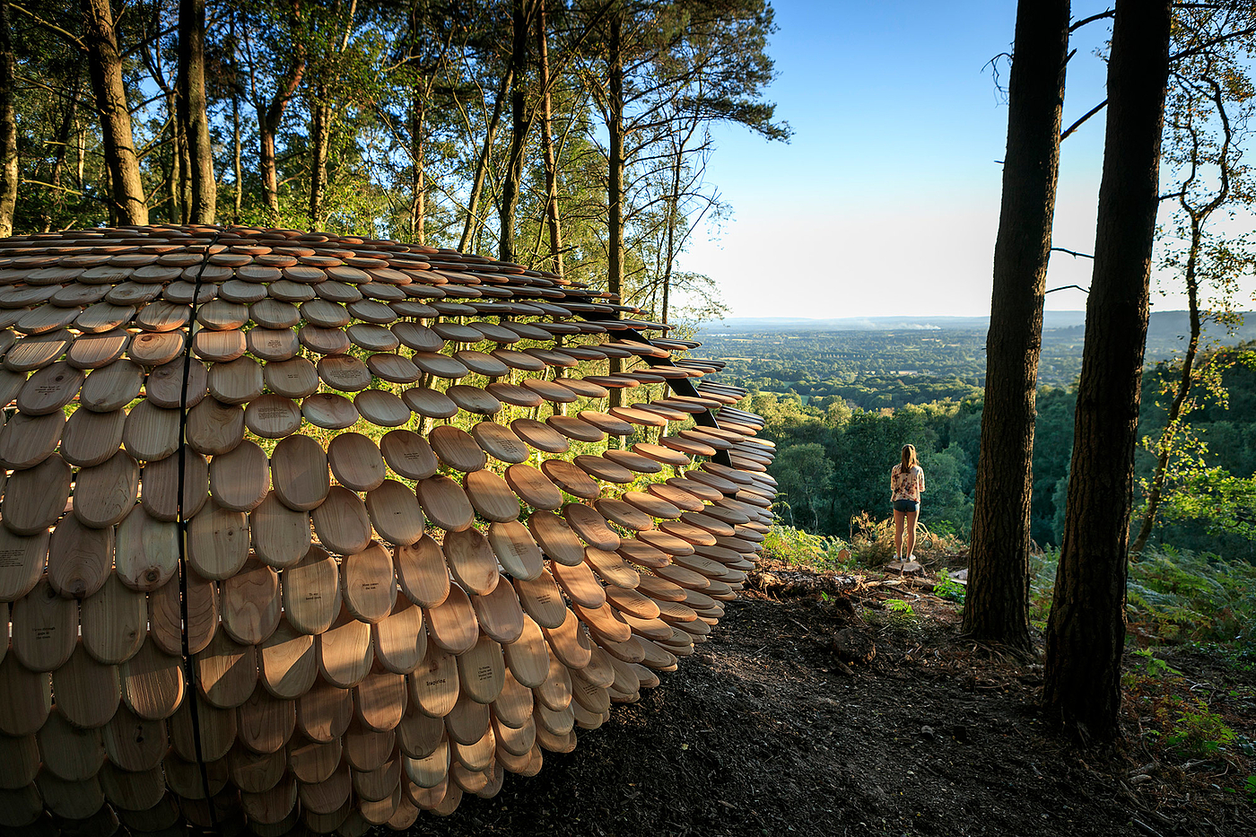 Pavilion，Cedar ，Full of meaning，Outdoor sports，originality，