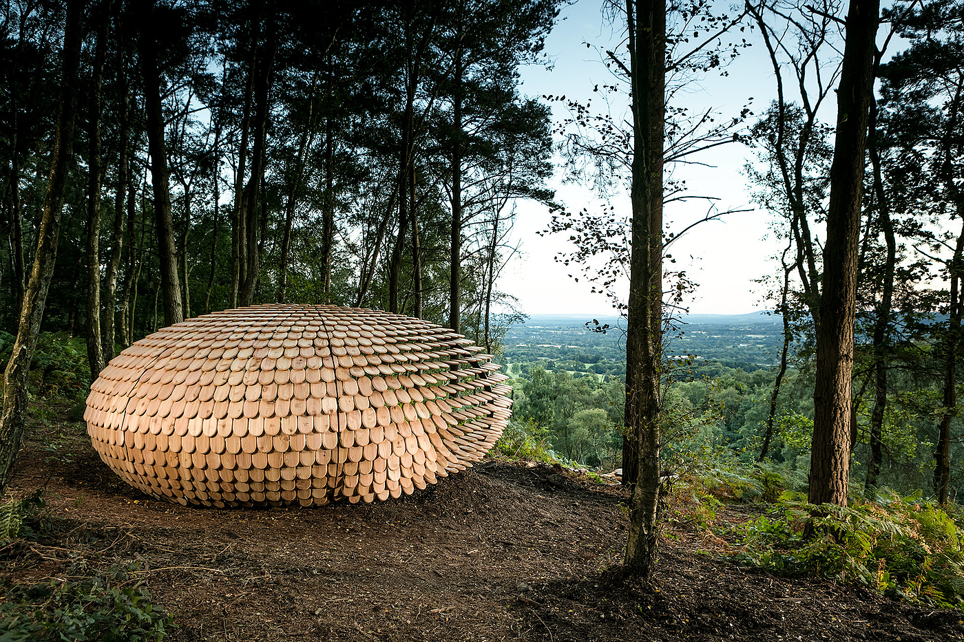 Pavilion，Cedar ，Full of meaning，Outdoor sports，originality，