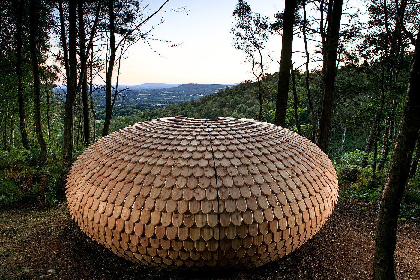 Pavilion，Cedar ，Full of meaning，Outdoor sports，originality，