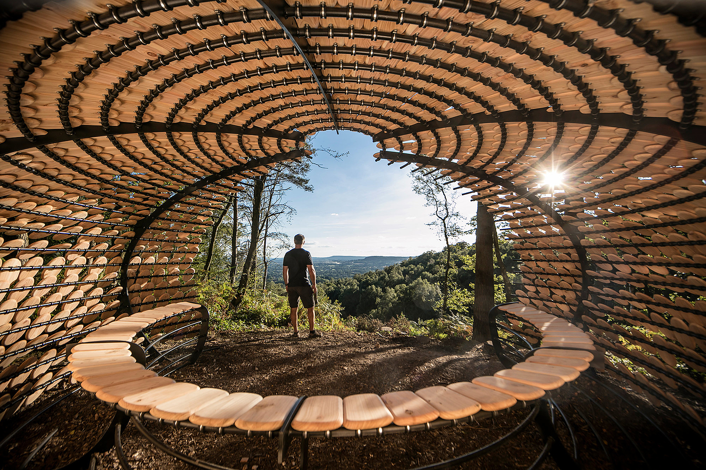 Pavilion，Cedar ，Full of meaning，Outdoor sports，originality，