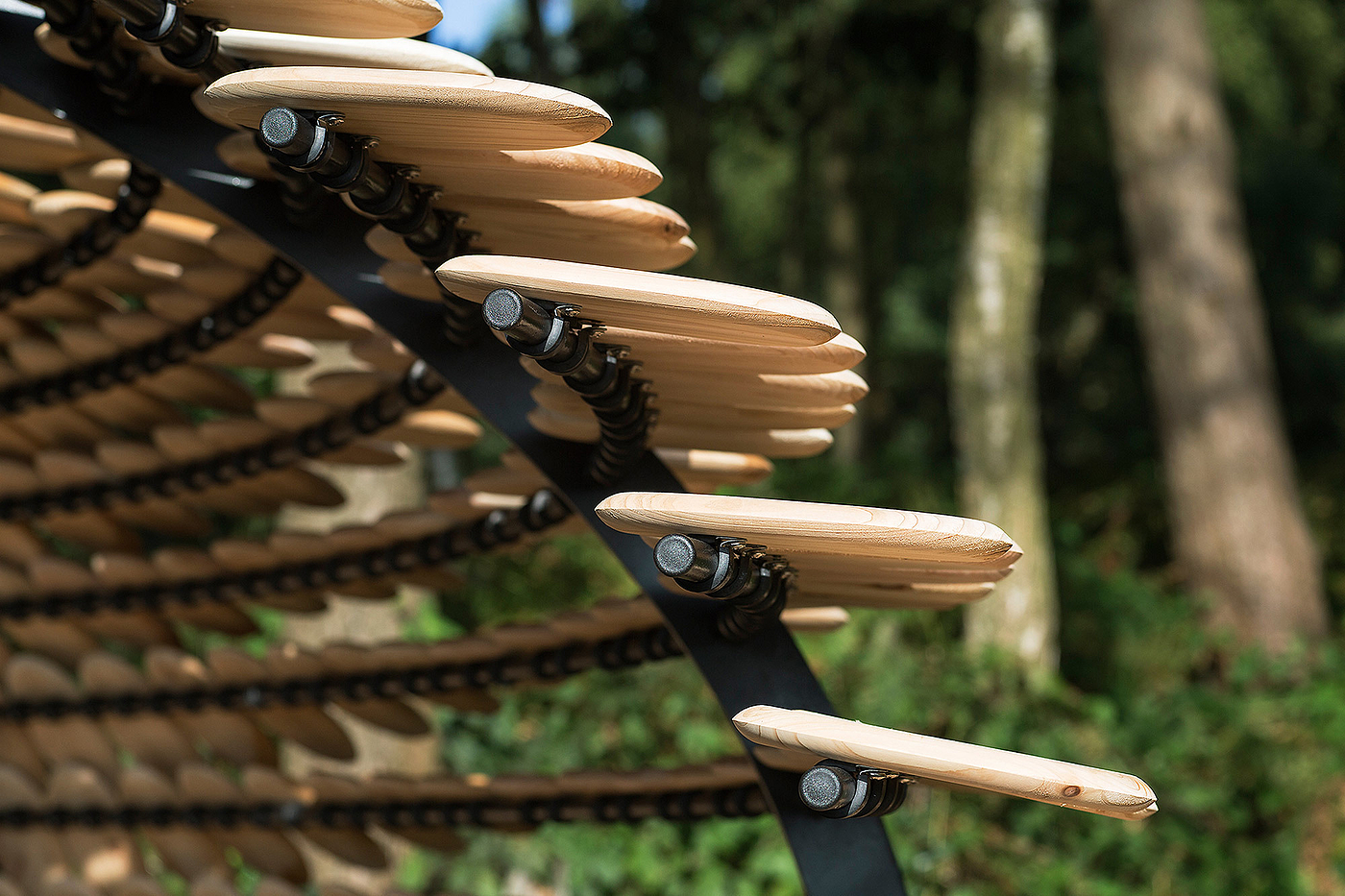 Pavilion，Cedar ，Full of meaning，Outdoor sports，originality，