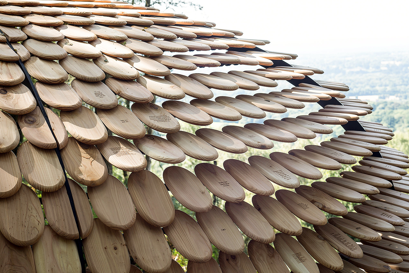 Pavilion，Cedar ，Full of meaning，Outdoor sports，originality，