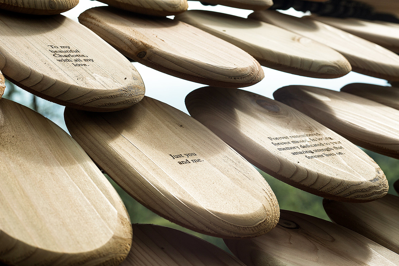 Pavilion，Cedar ，Full of meaning，Outdoor sports，originality，