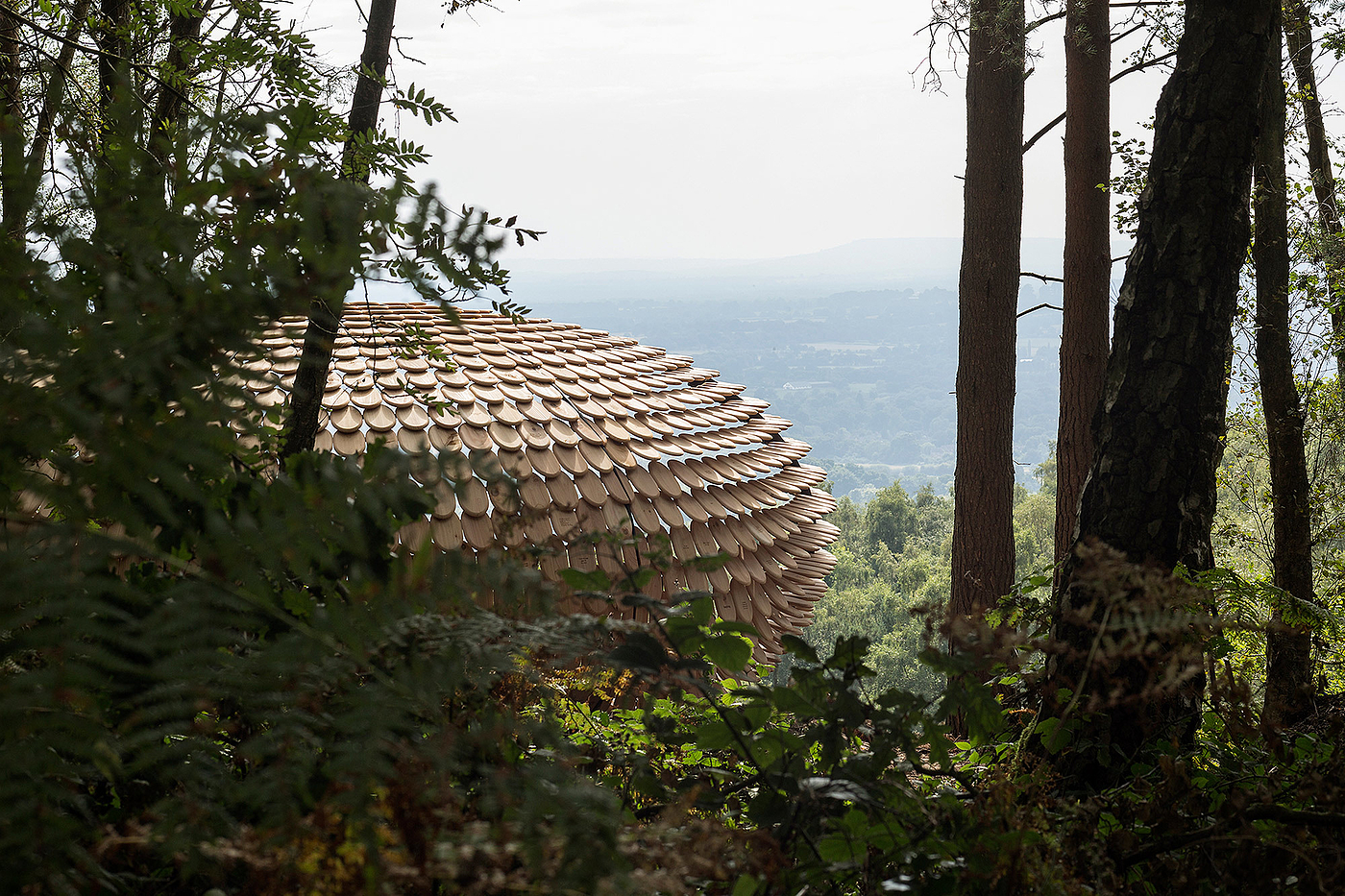 Pavilion，Cedar ，Full of meaning，Outdoor sports，originality，