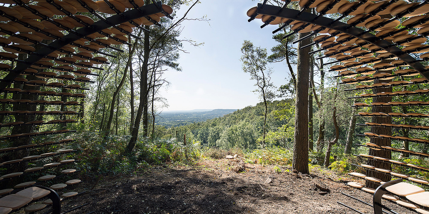 Pavilion，Cedar ，Full of meaning，Outdoor sports，originality，
