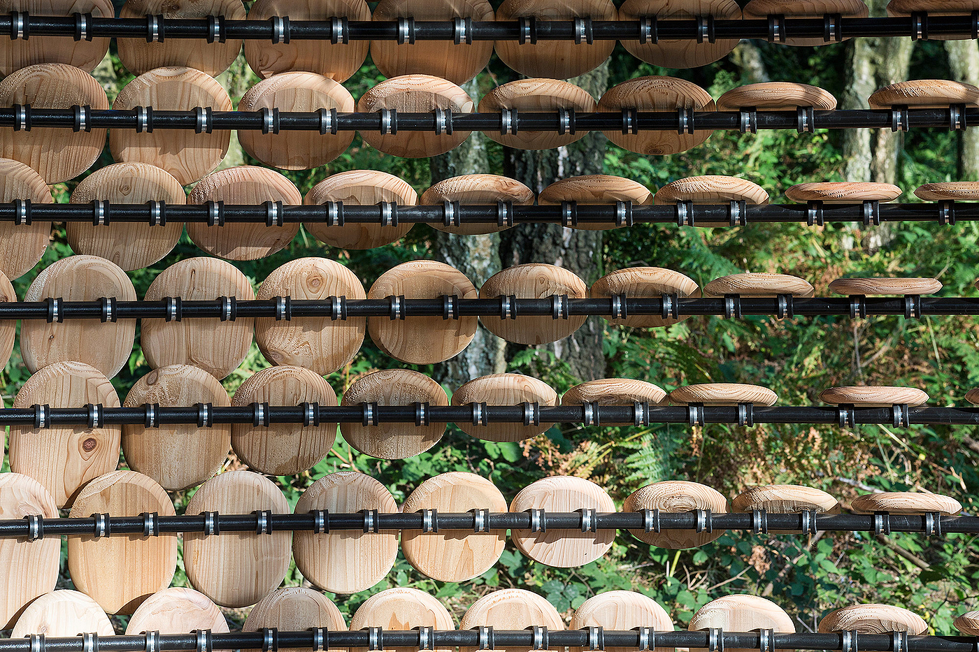 Pavilion，Cedar ，Full of meaning，Outdoor sports，originality，