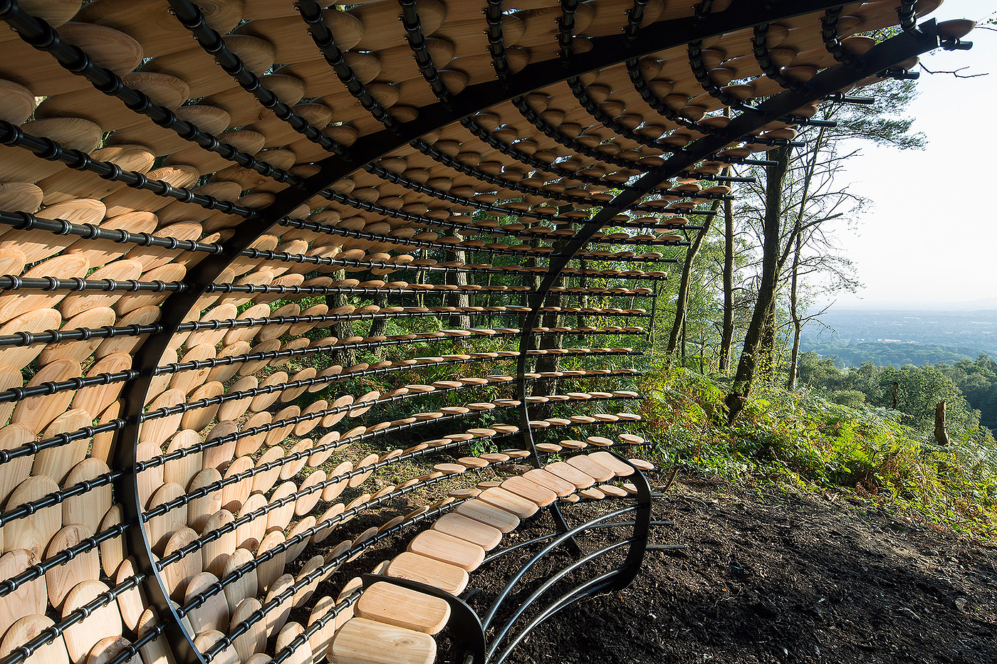 Pavilion，Cedar ，Full of meaning，Outdoor sports，originality，