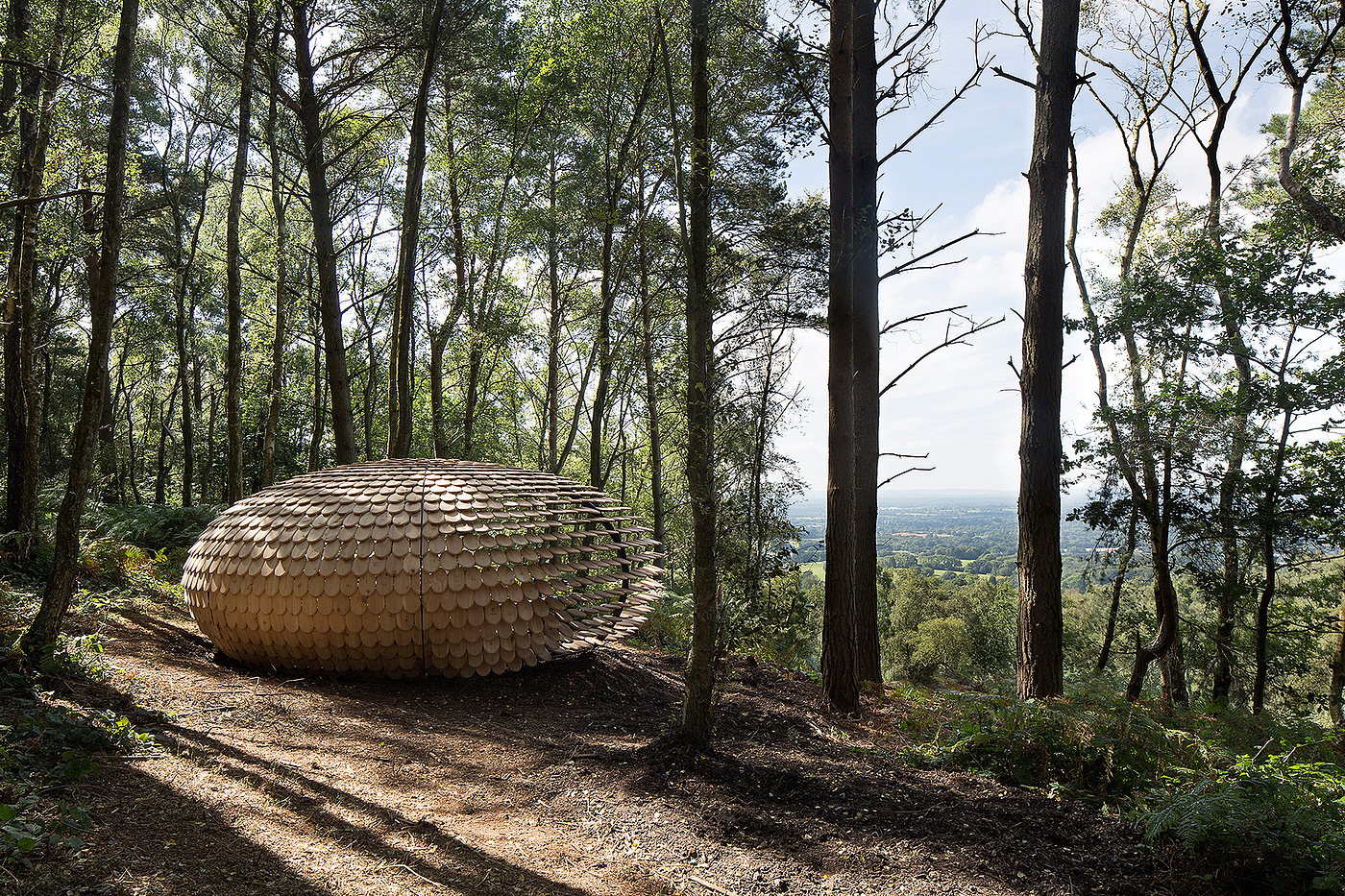 Pavilion，Cedar ，Full of meaning，Outdoor sports，originality，
