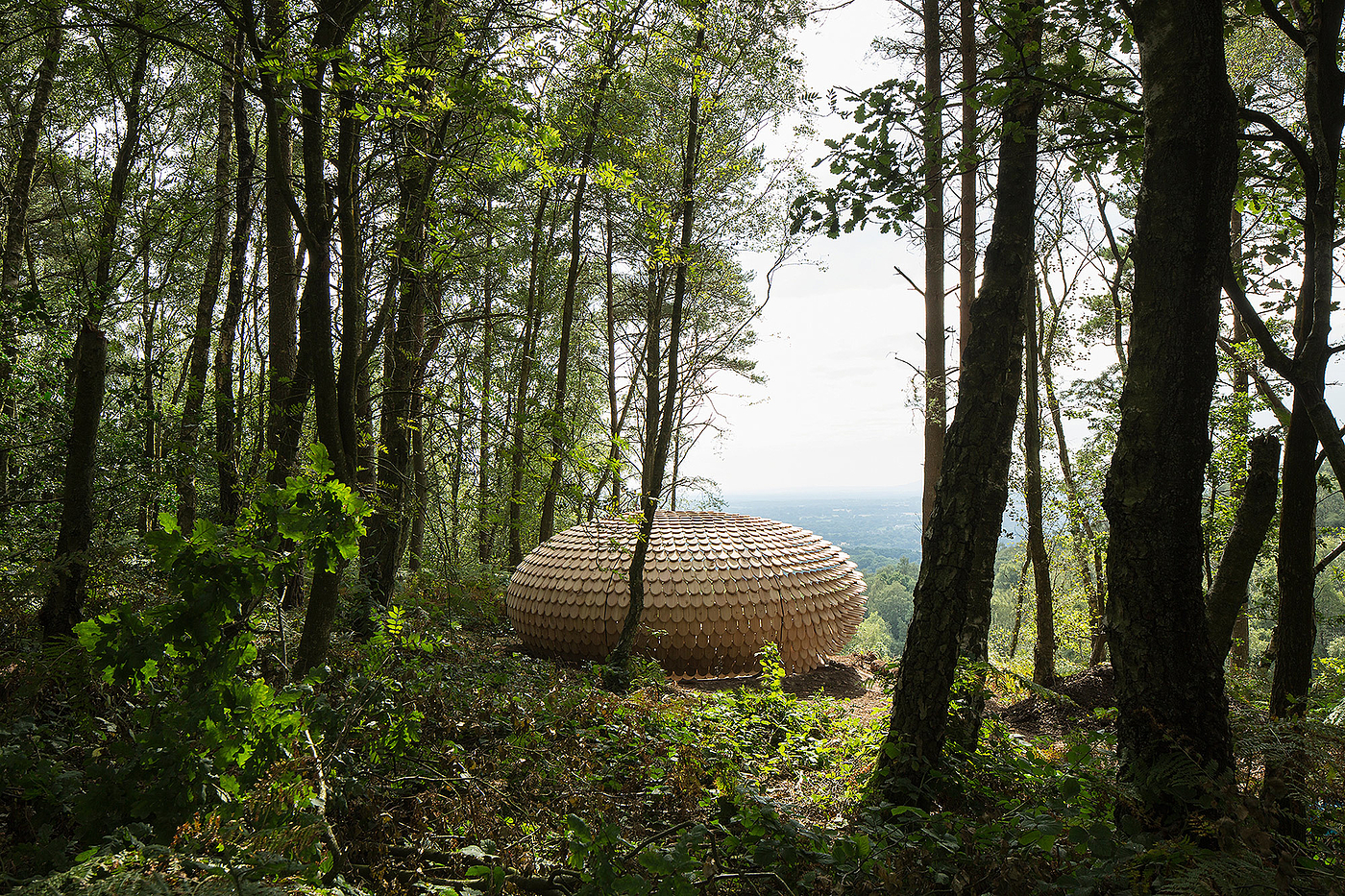 Pavilion，Cedar ，Full of meaning，Outdoor sports，originality，