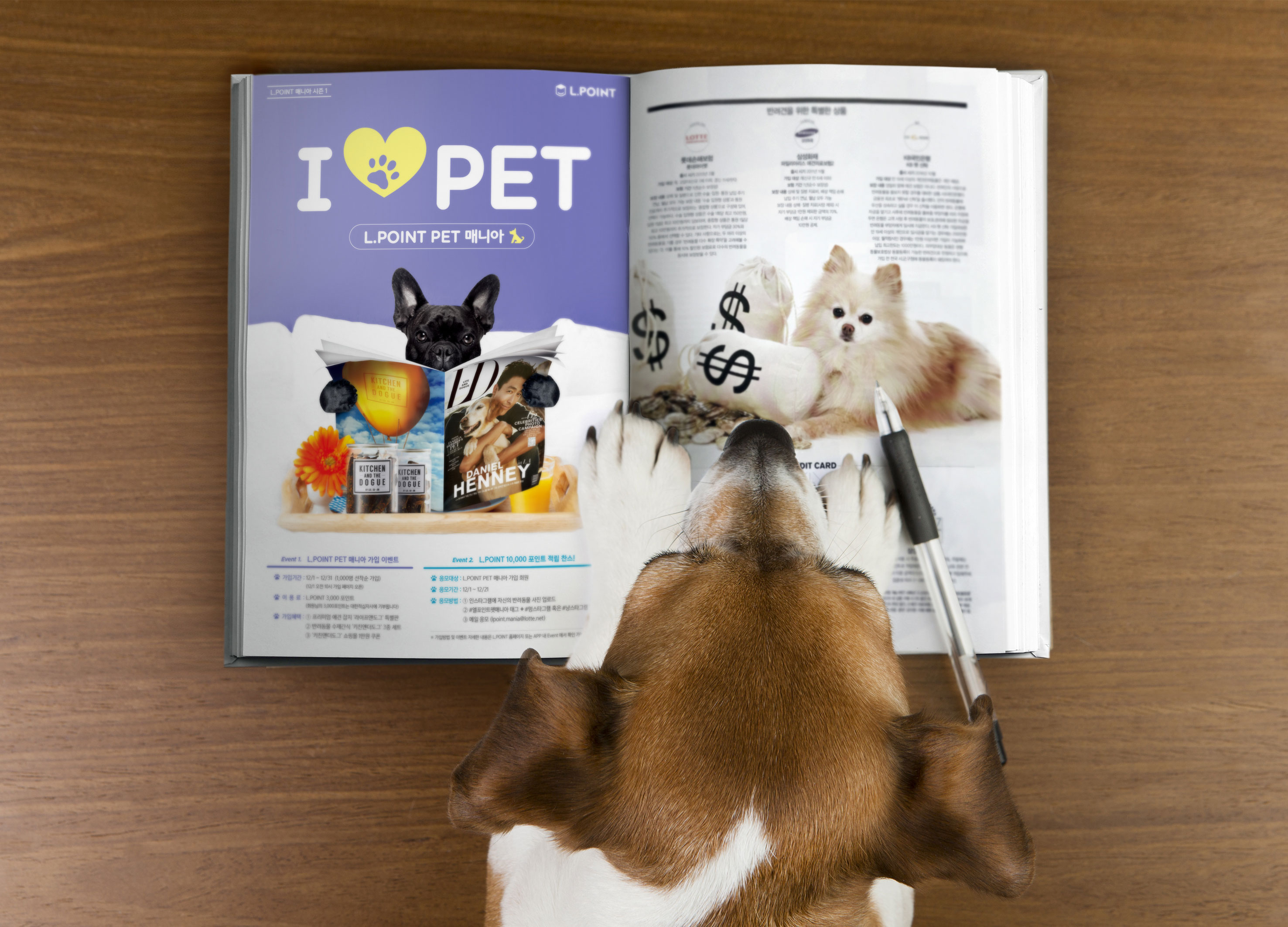  Understanding the IPM Management Pet Policy: A Comprehensive Guide for Pet Owners