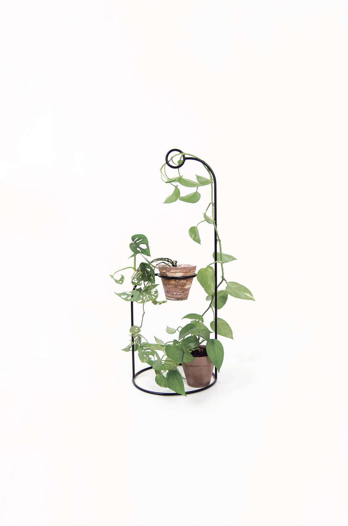 Simplicity，Shelf，Plant rack，