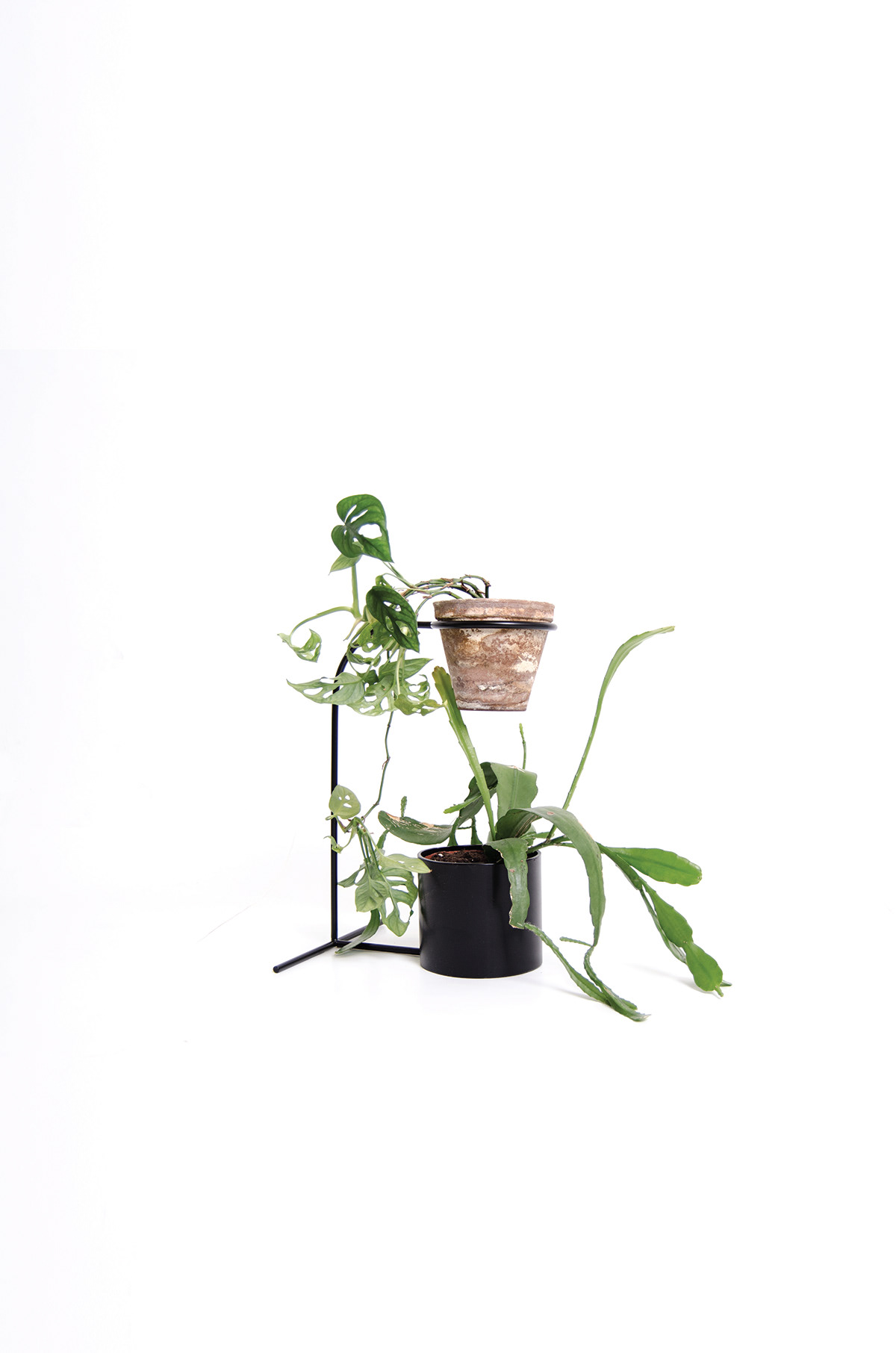Simplicity，Shelf，Plant rack，
