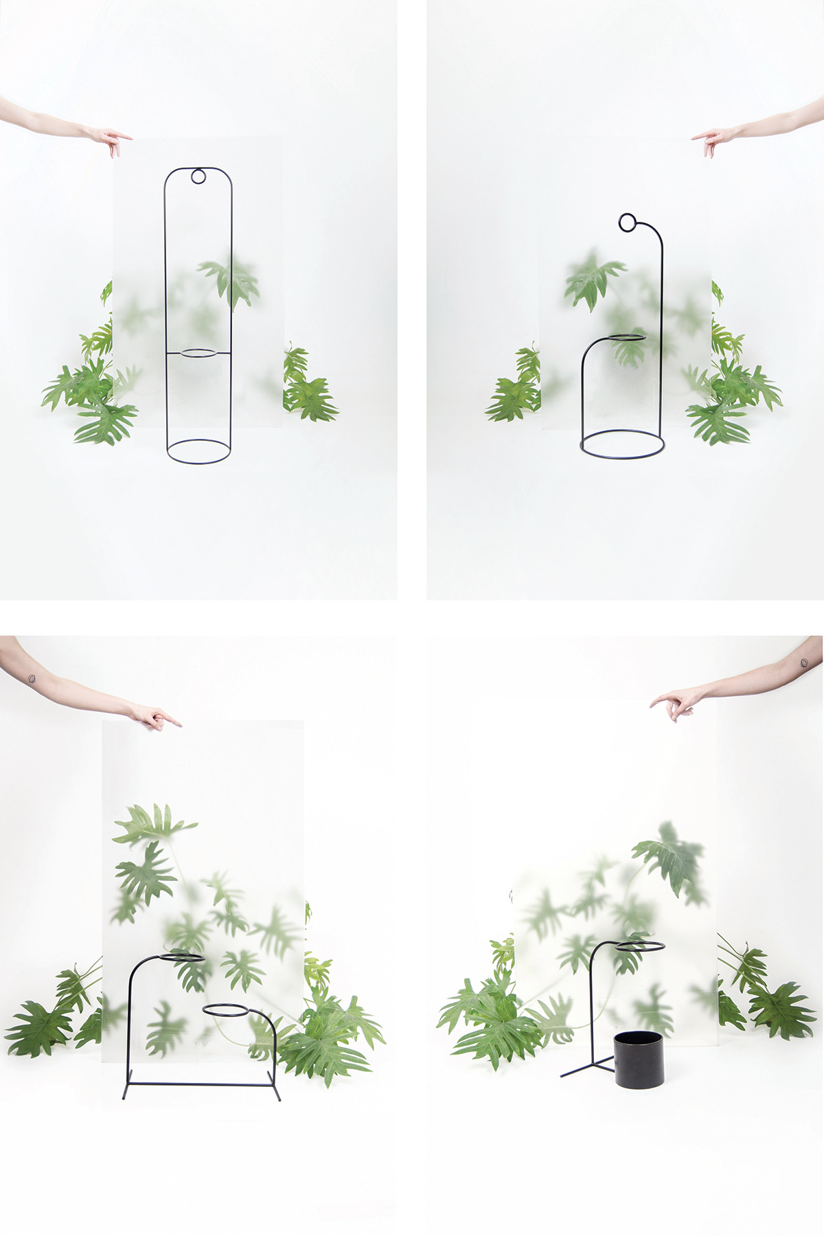 Simplicity，Shelf，Plant rack，