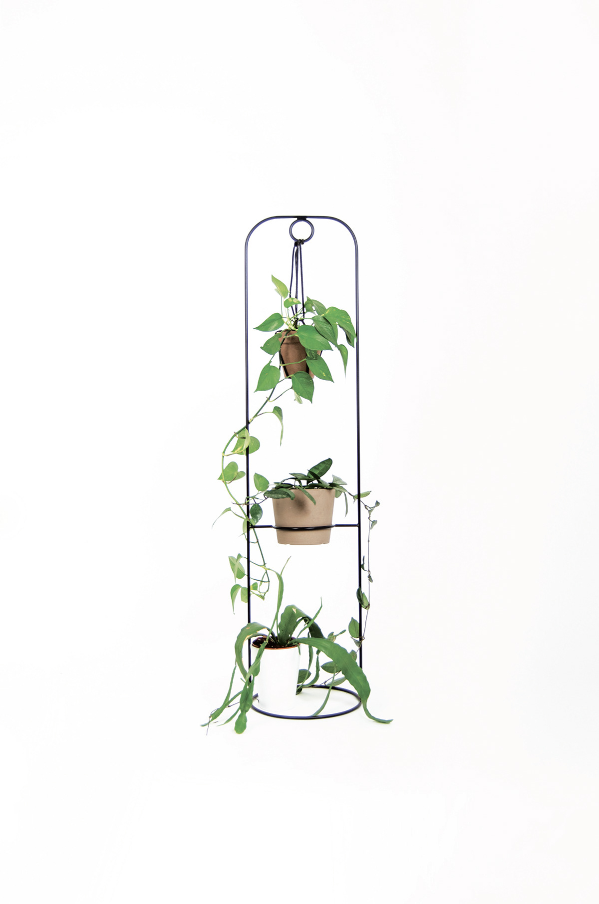 Simplicity，Shelf，Plant rack，