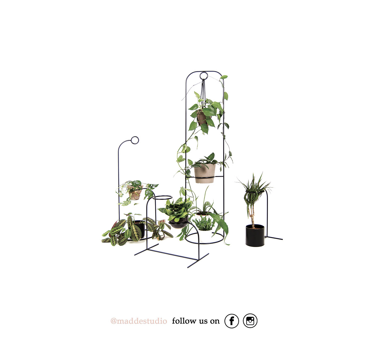 Simplicity，Shelf，Plant rack，