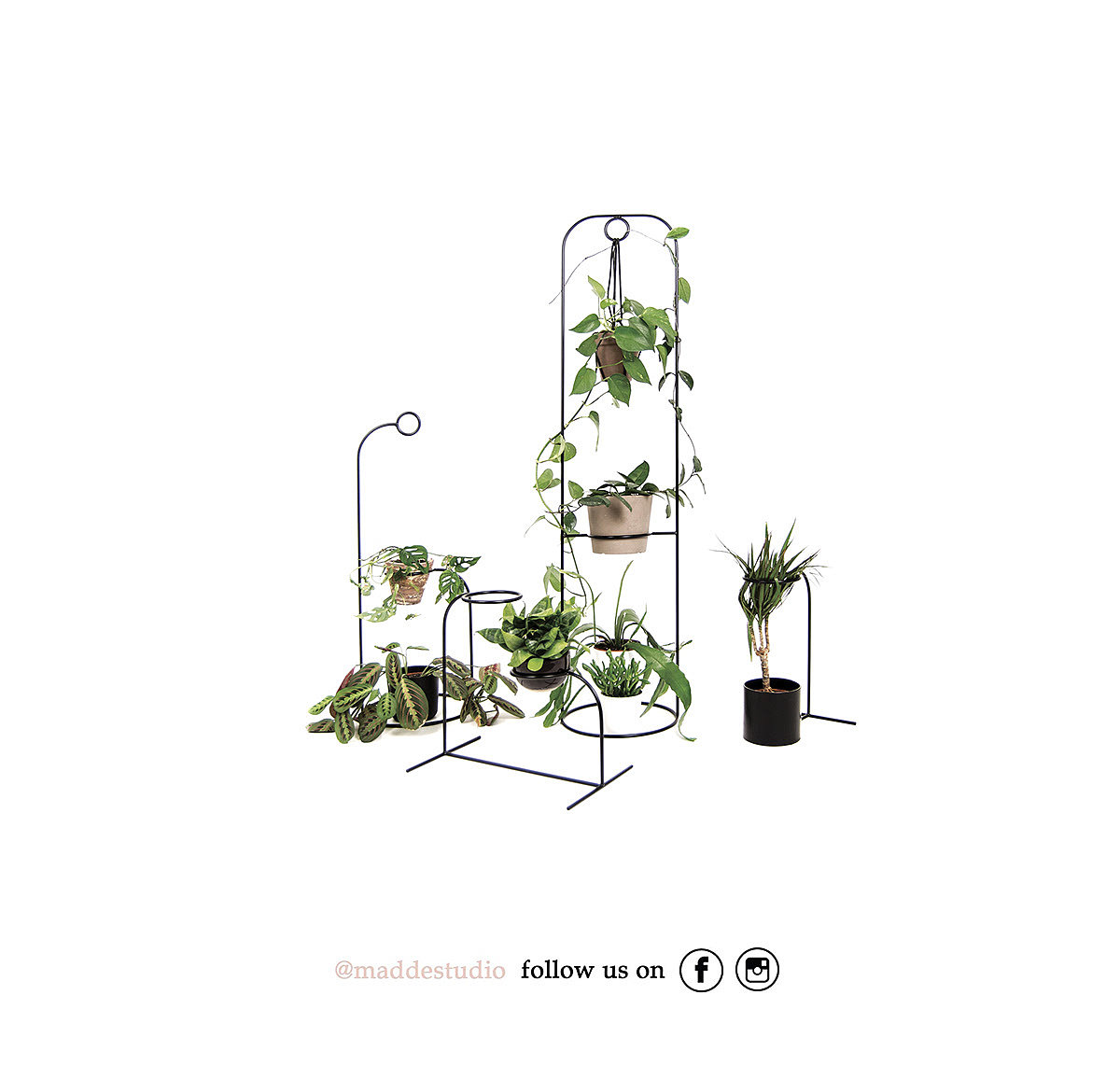 Simplicity，Shelf，Plant rack，