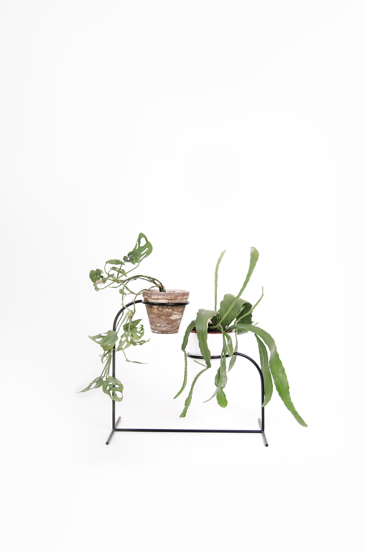 Simplicity，Shelf，Plant rack，