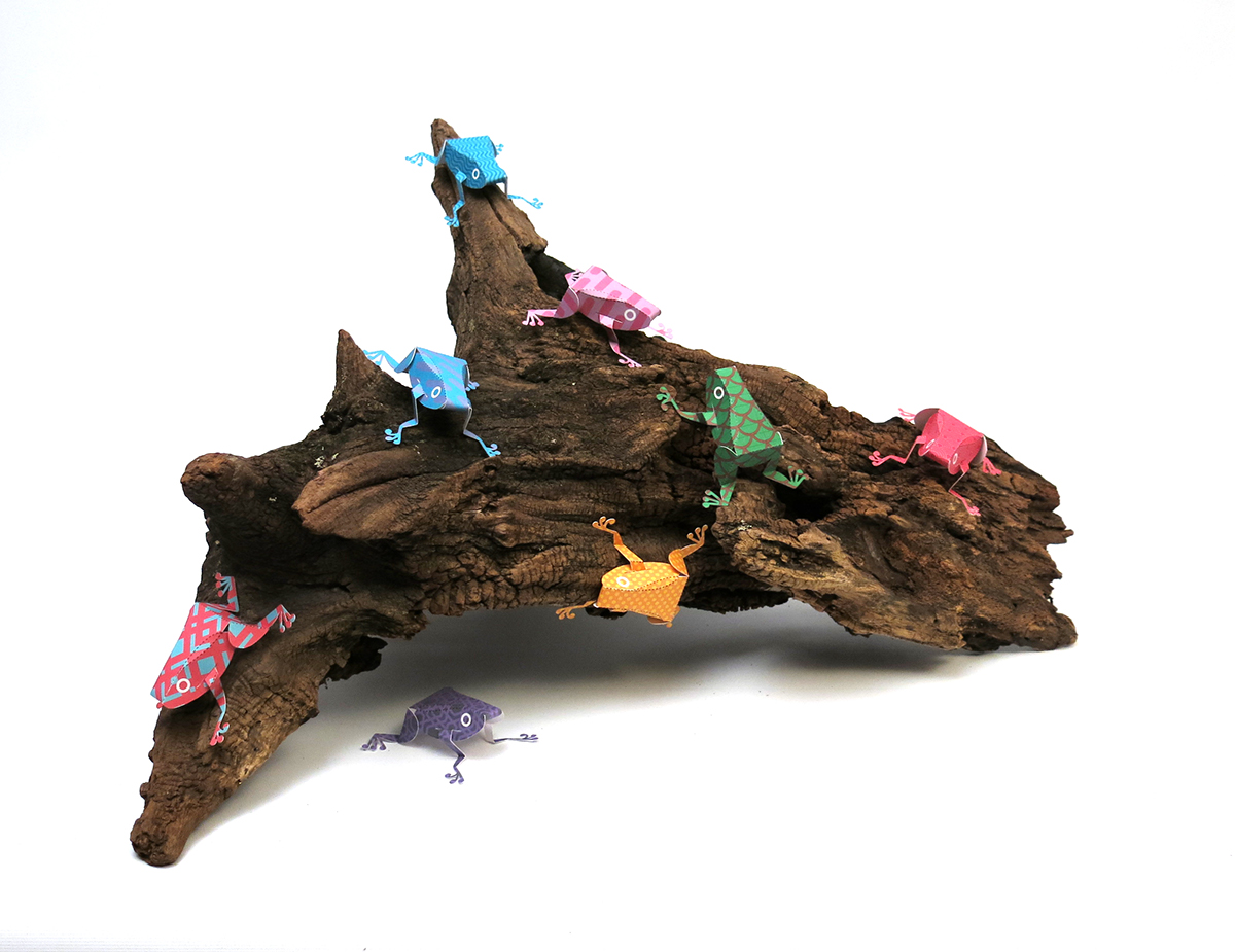Tree frog，Paper，Paper toys，honeybee，Toys，