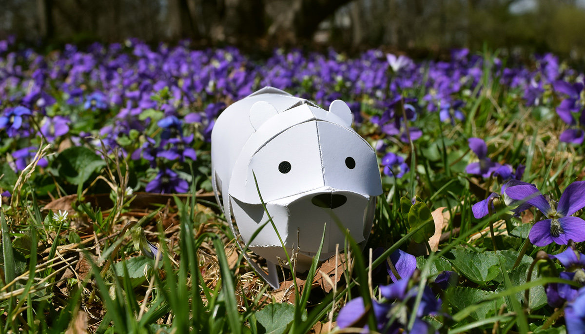 Tree frog，Paper，Paper toys，honeybee，Toys，